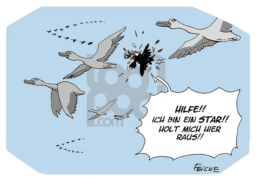 (feicke)=amsel_drossel_fink_und_star_1897089_hier_raus.webp