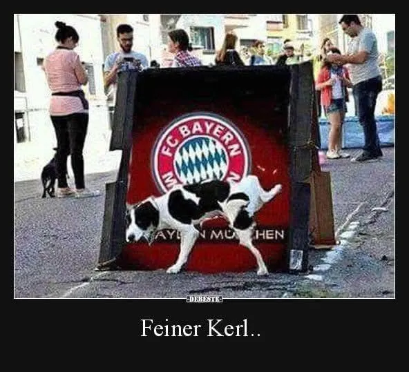 feiner Kerl.webp