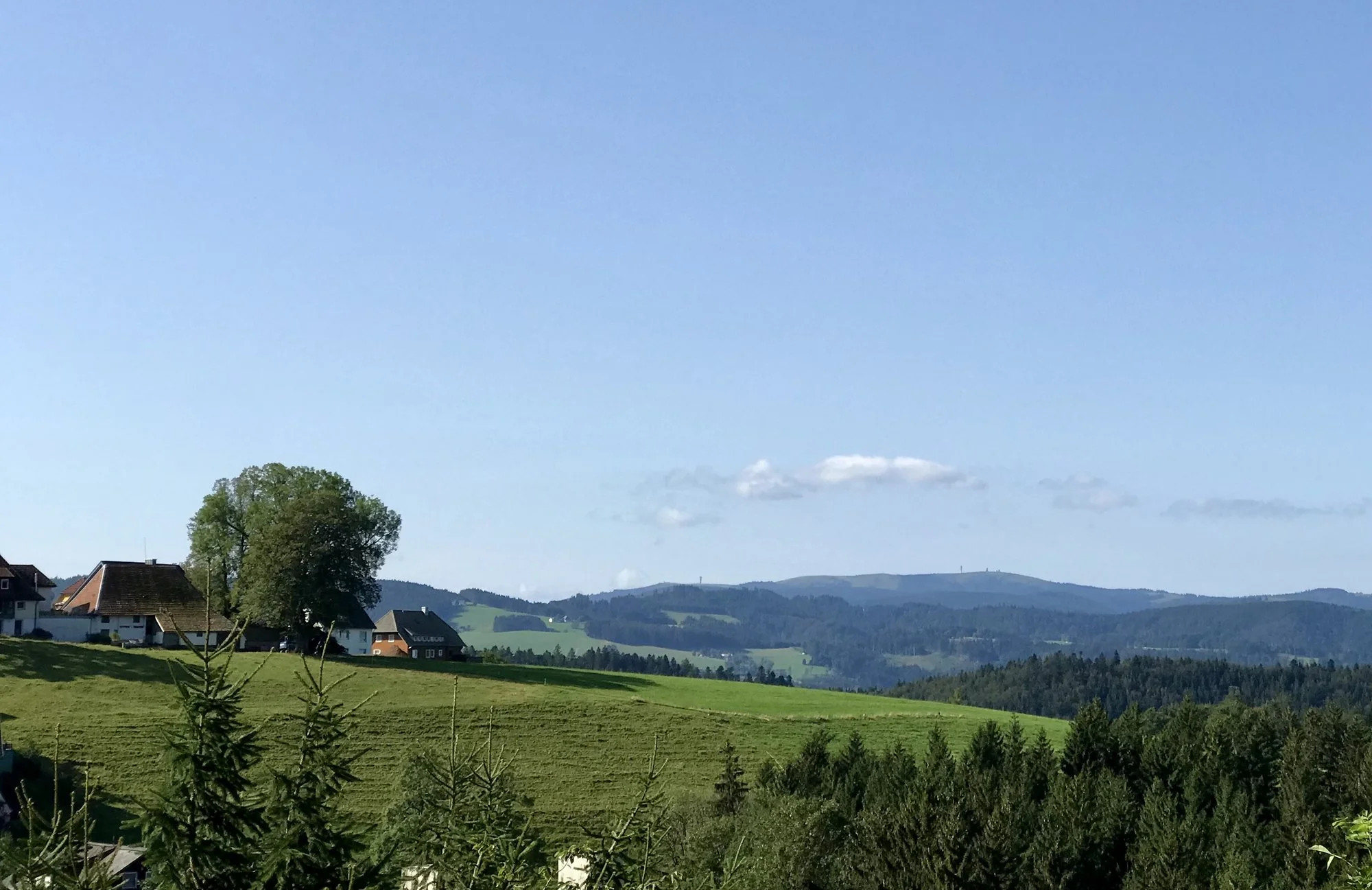feldbergblickjpeg.webp