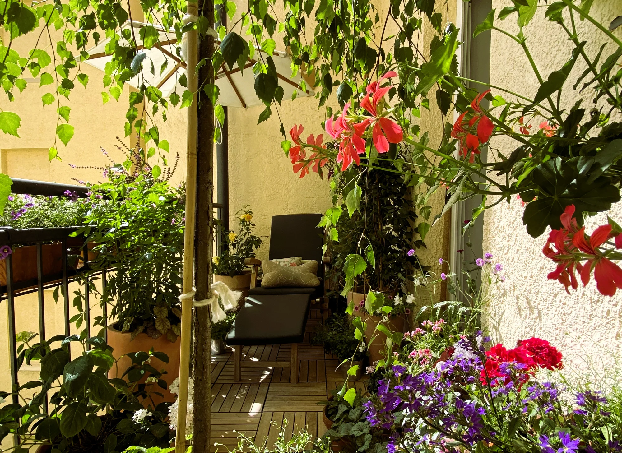 Flurblick 16.Juni 26.webp