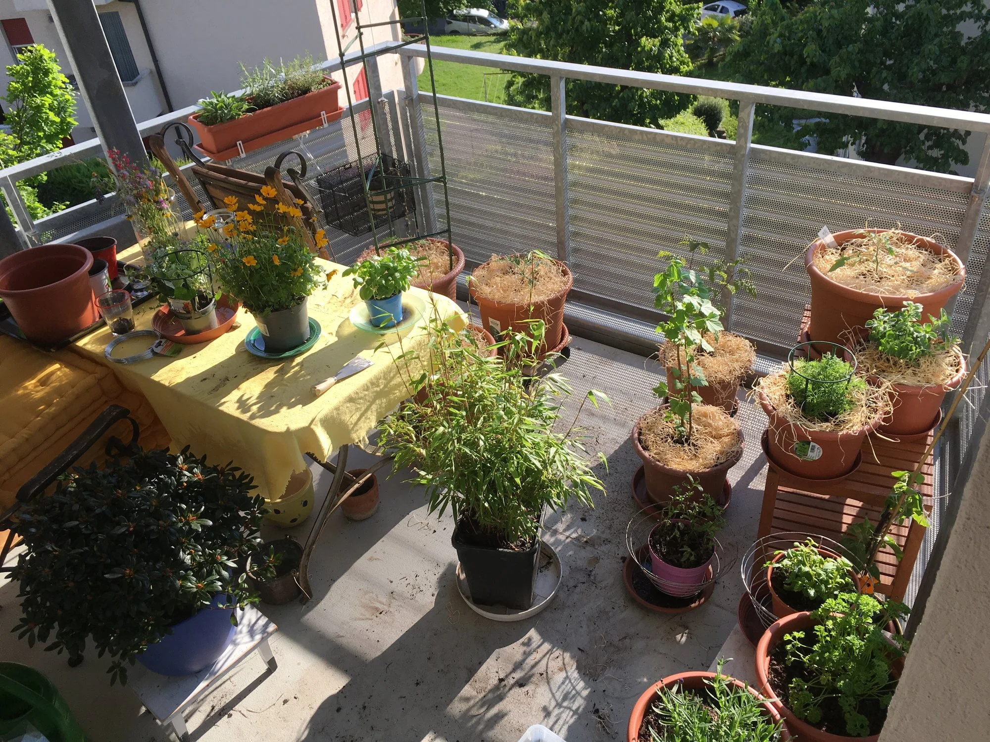 Foto 11.05.24, 18 30 21.jpg
