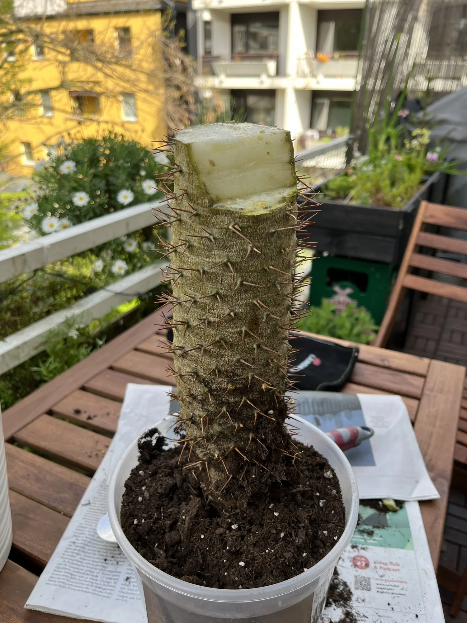 Foto 13.04.22, 11 08 56.webp