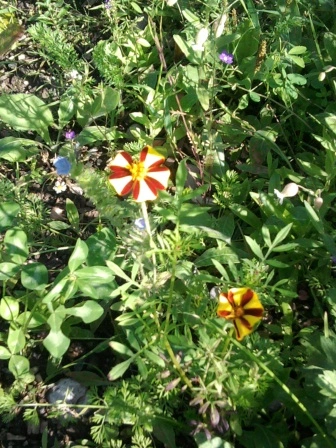Foto0488.webp