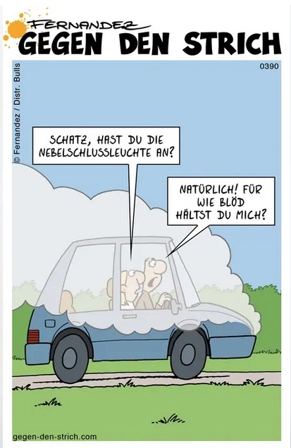 Frauen & Männer*Auto raucht*Humor.webp