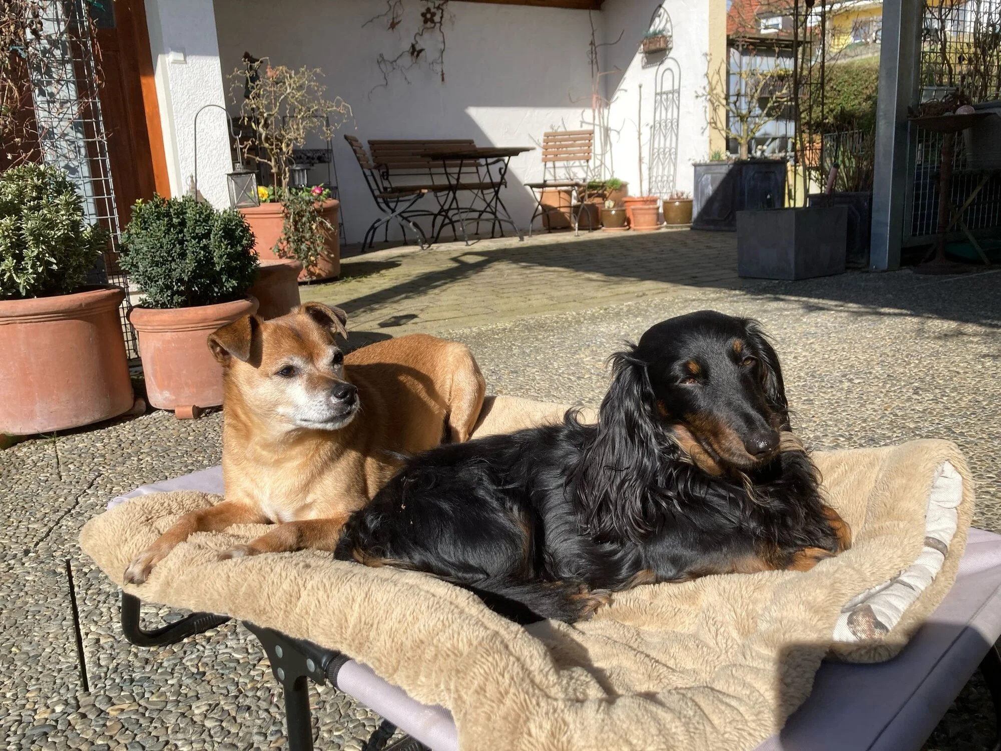 Freunde teilen.webp