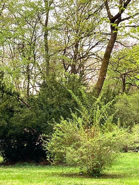Friedhof.jpg