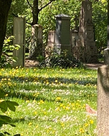 Friedhof1.webp