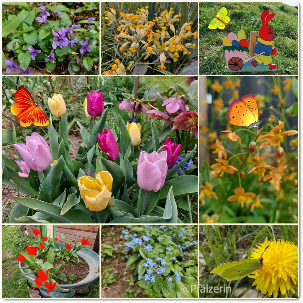 Frohe Ostern 1.webp