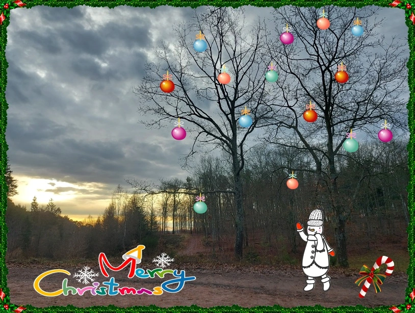 Frohe Weihnachten 6.webp
