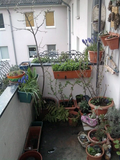 Frühling 2019.webp