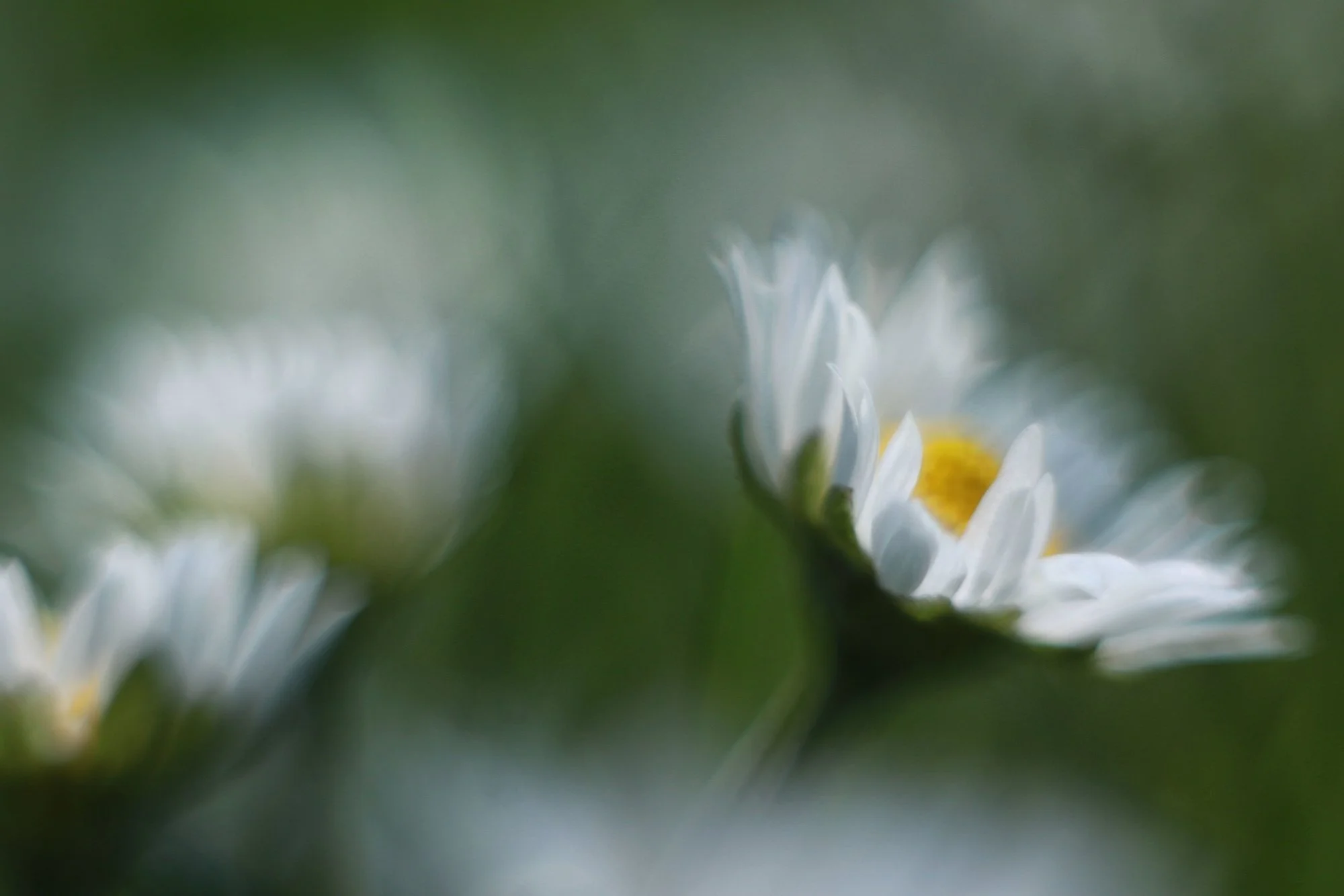 Frühling05.webp