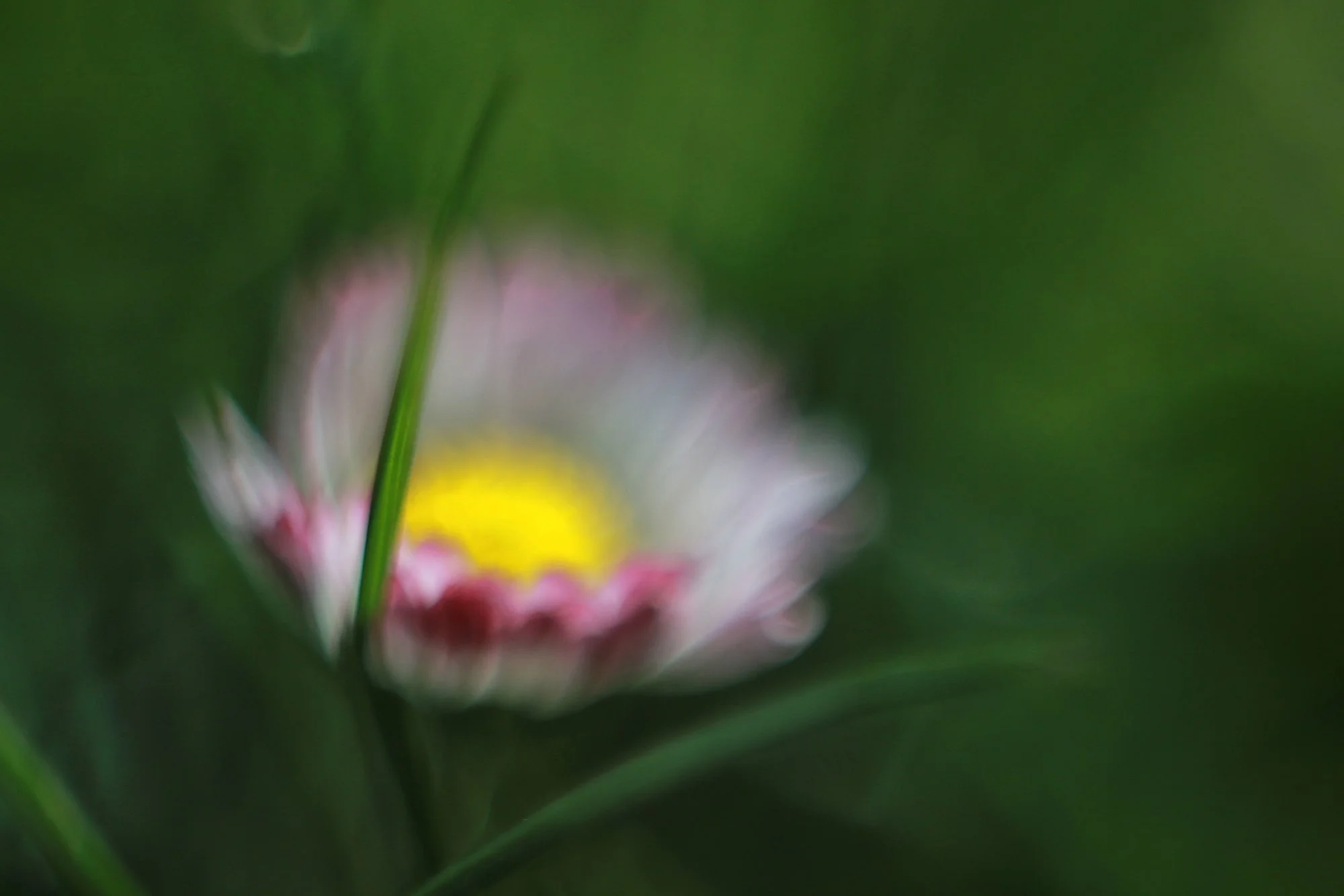 Frühling06.webp