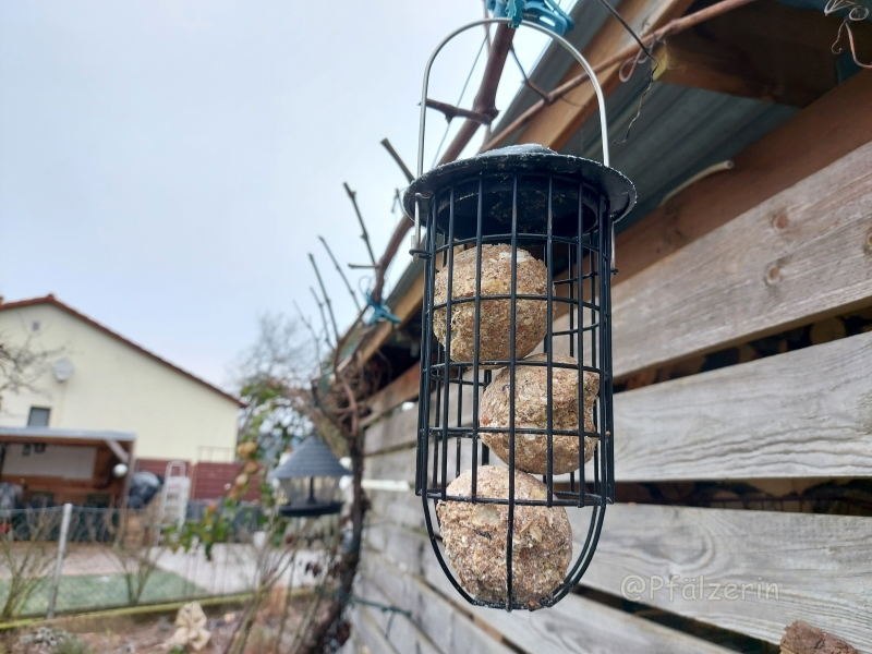Futtersäulen im Garten 2.webp