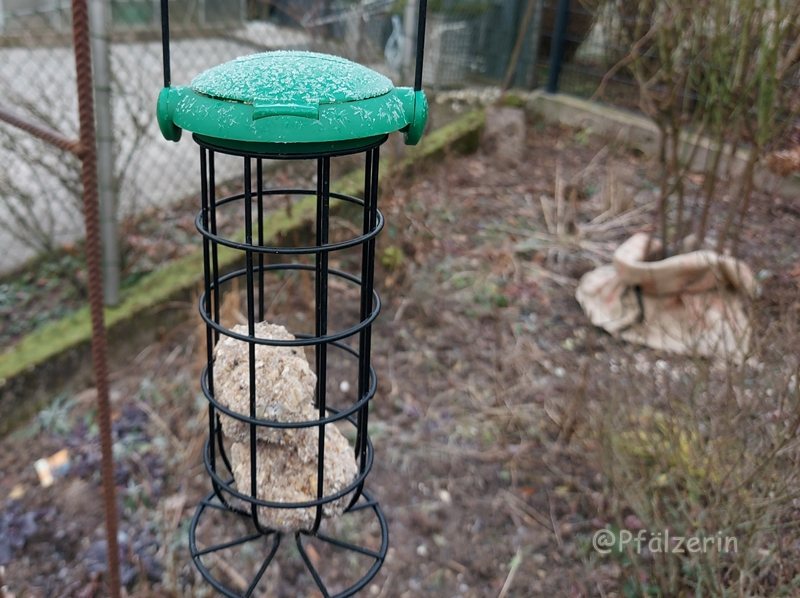 Futtersäulen im Garten 3.webp