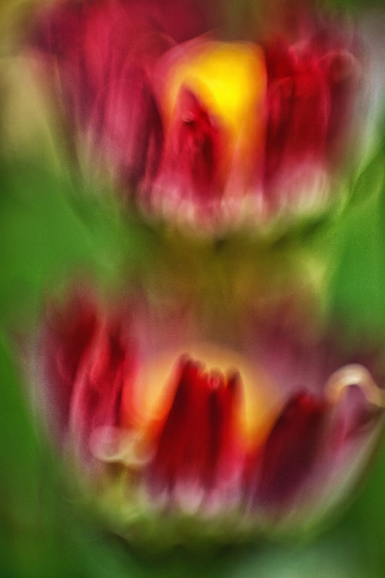 646462