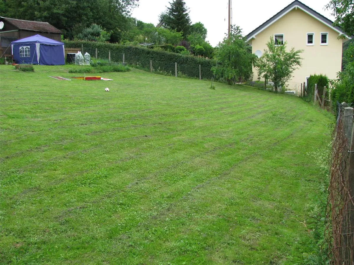 Tips für unsere Wiese