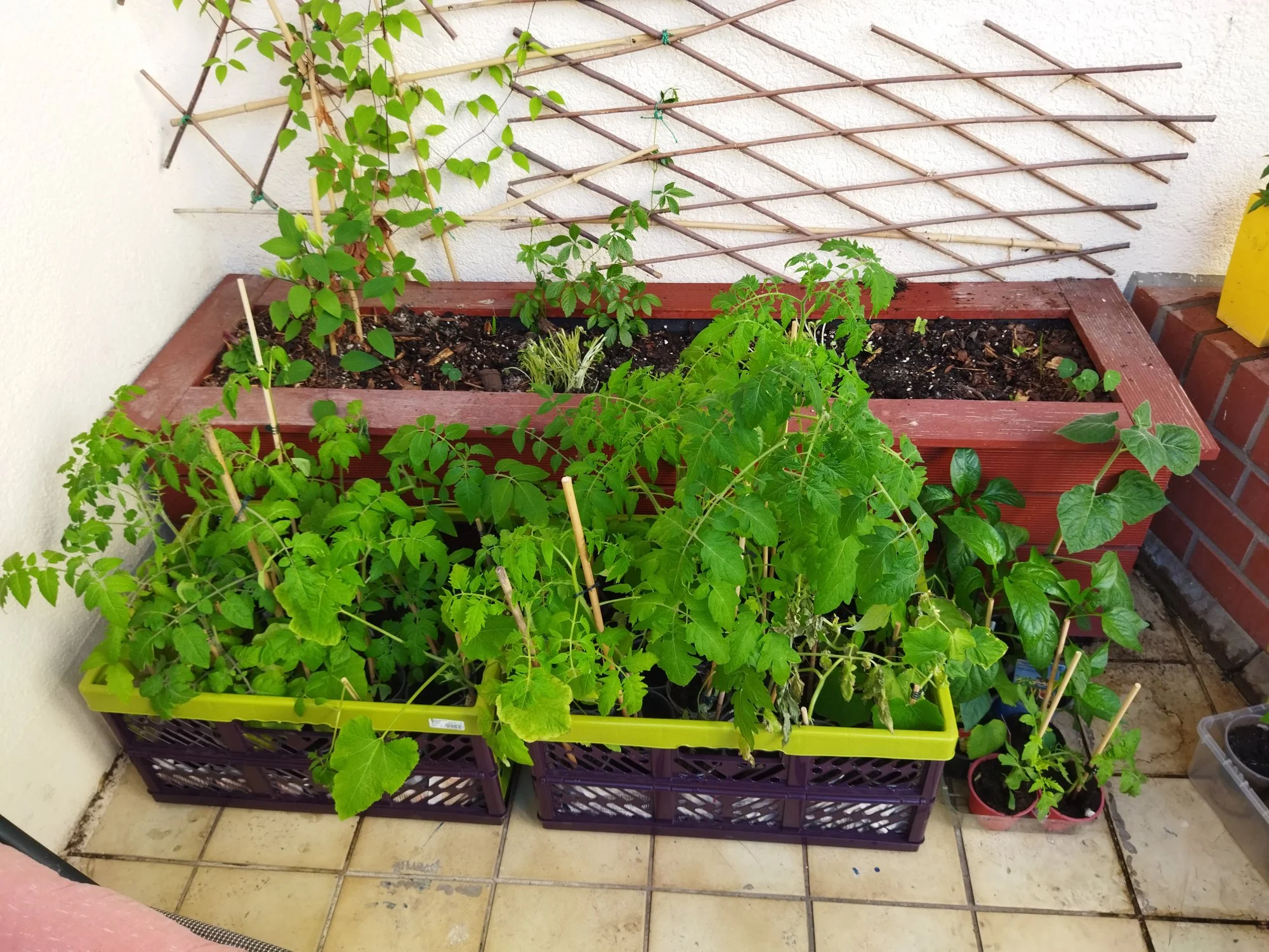 Garten 2021 (1177).jpg