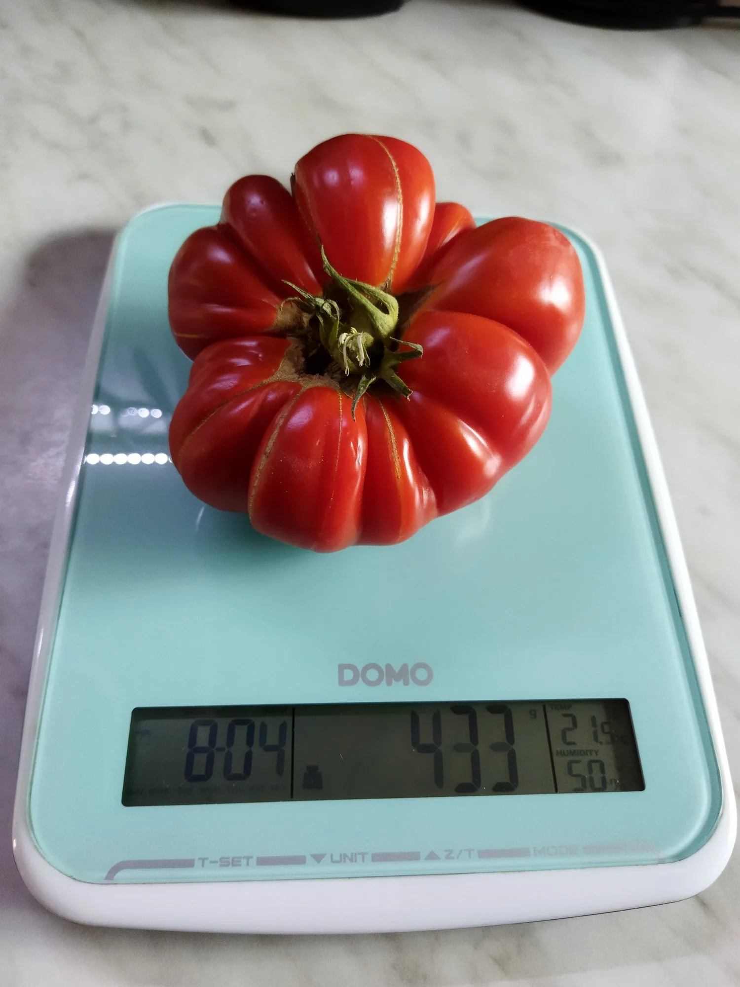 Garten 2021 (3271).webp