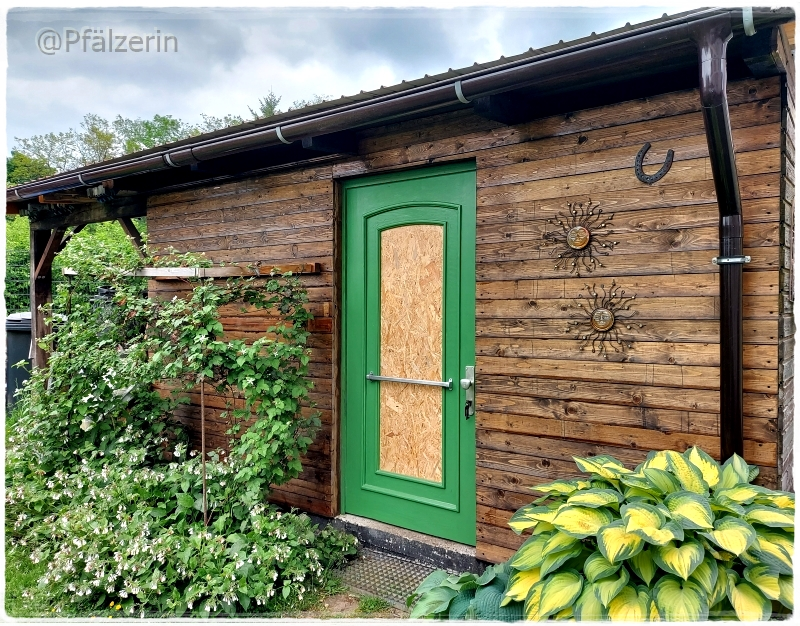 Garten Ende Mai 14.webp