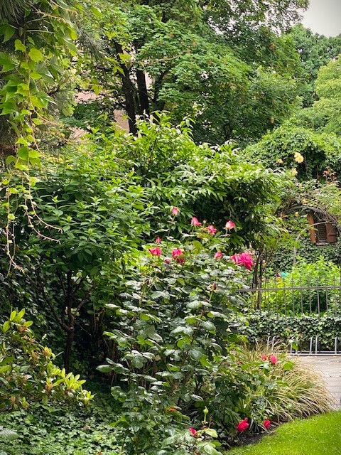 Garten1.jpg