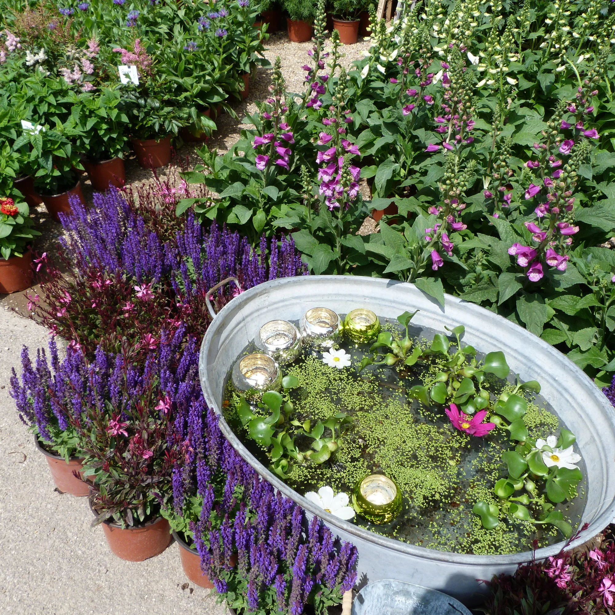 Gartenschau.webp
