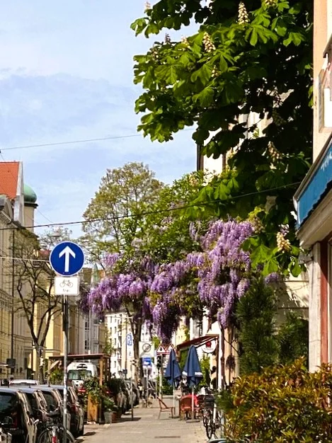 Georgenstraße.webp