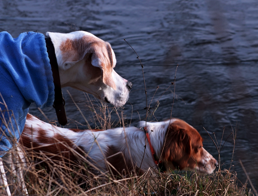 Giralda_Estrella_watching ducks_900.JPG