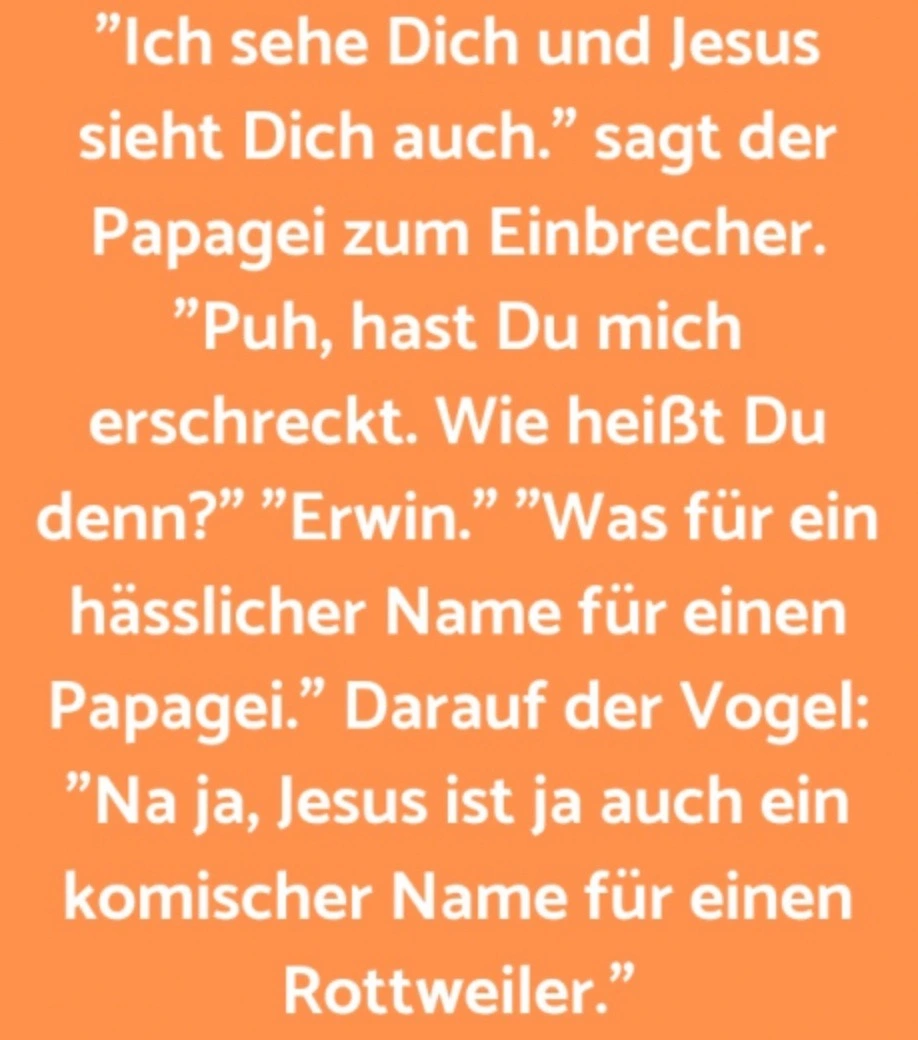 Groß (Bildschirmfoto 2025-01-21 um 00.00.52).webp