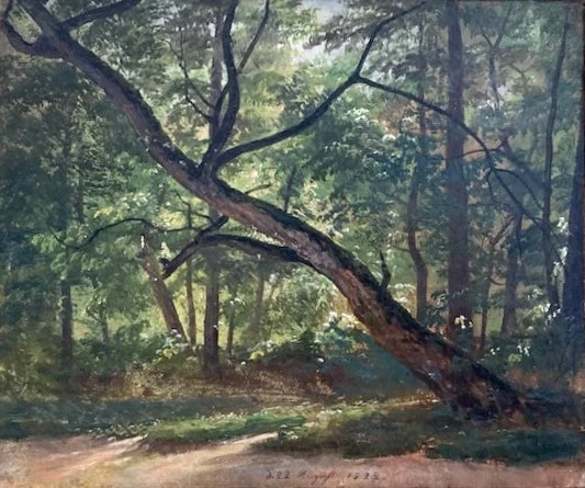 Großer Garten.webp
