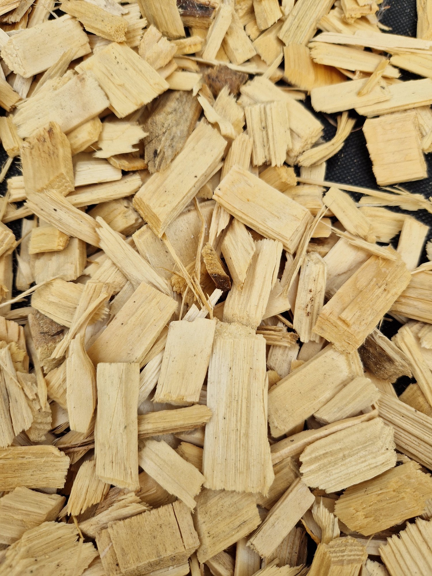 Holzhäcksel mit Sporen oder Pilze?