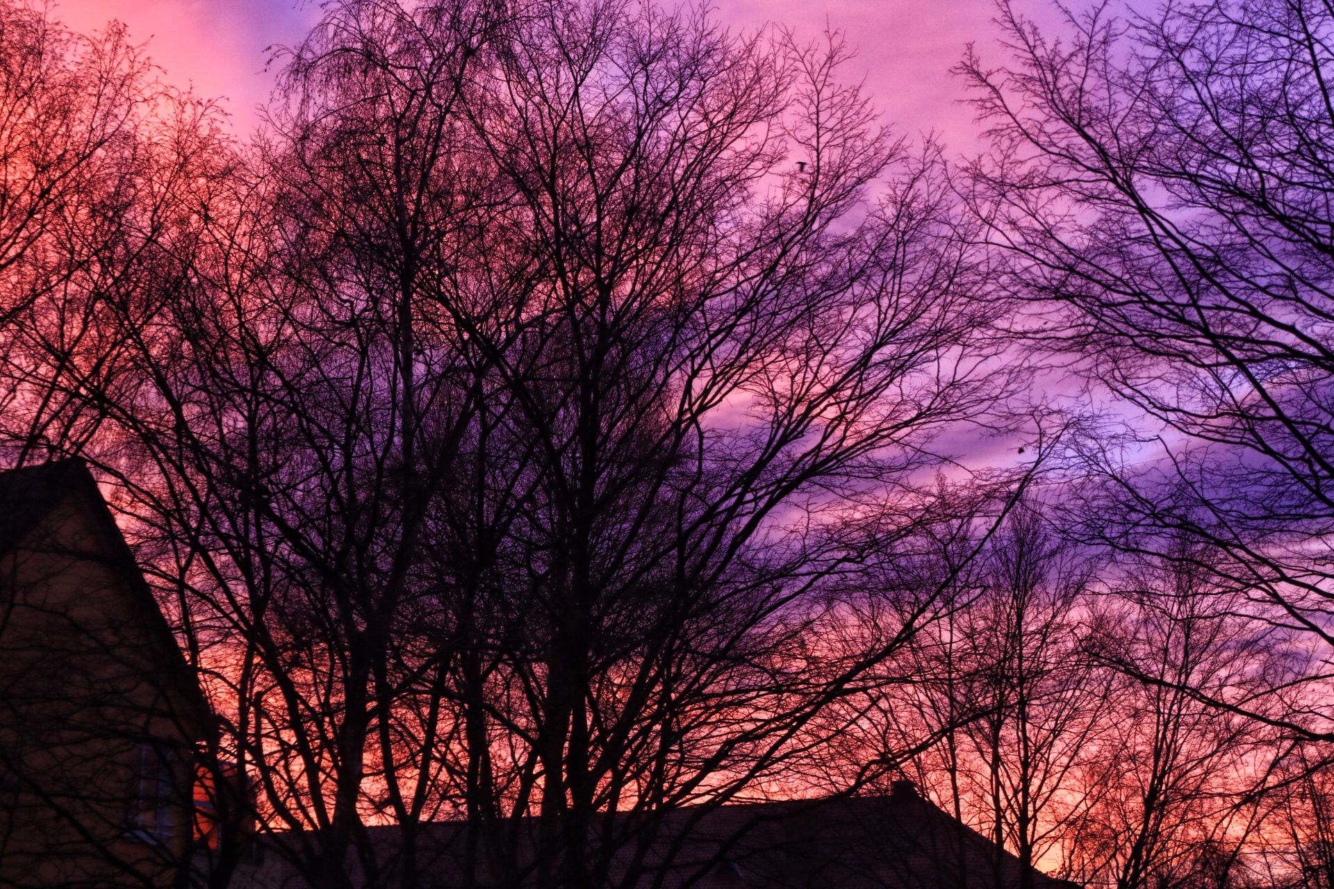 Guter Morgen01.JPG