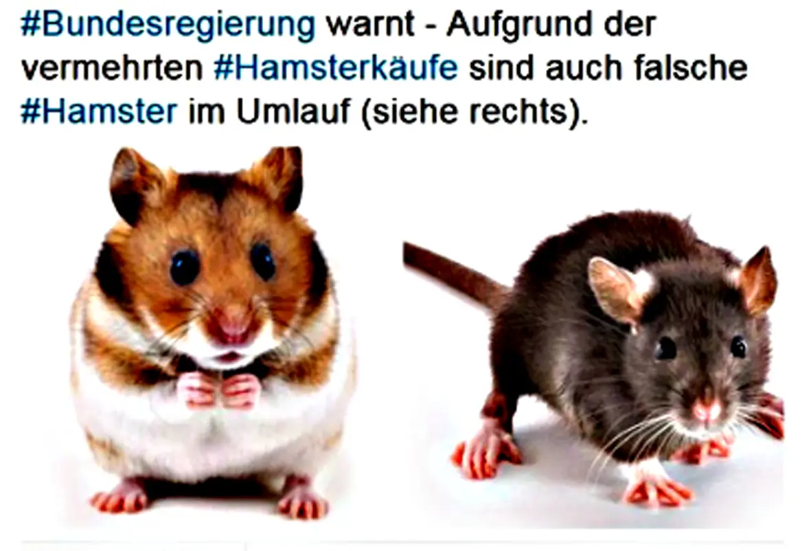 Hamsterkäufer.webp