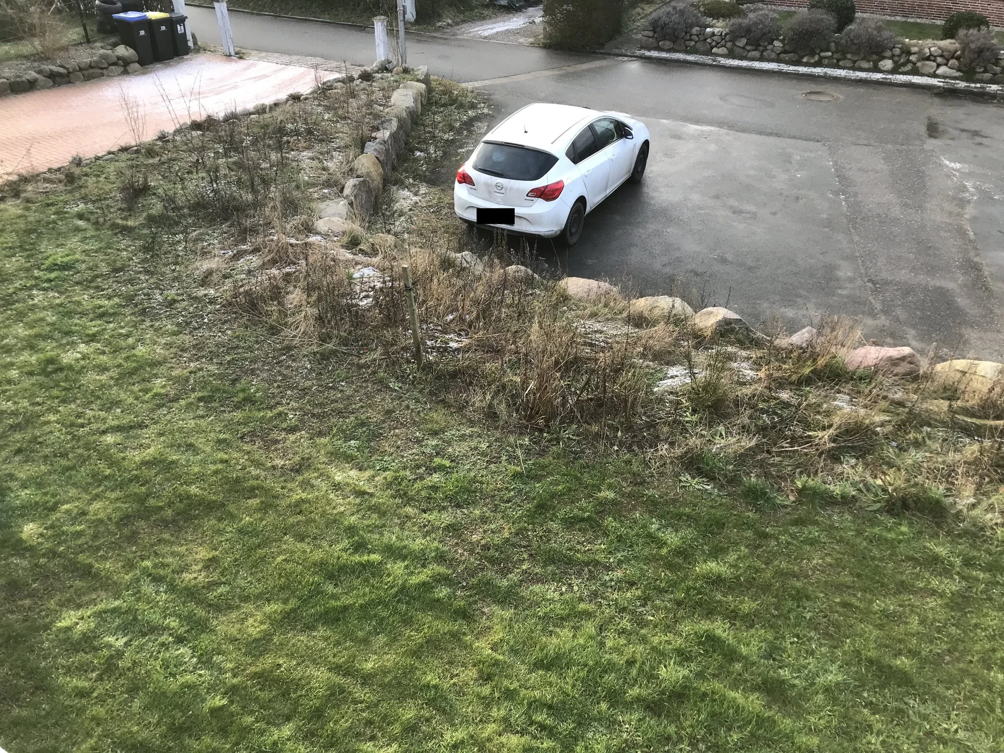 Hecke (2).jpg