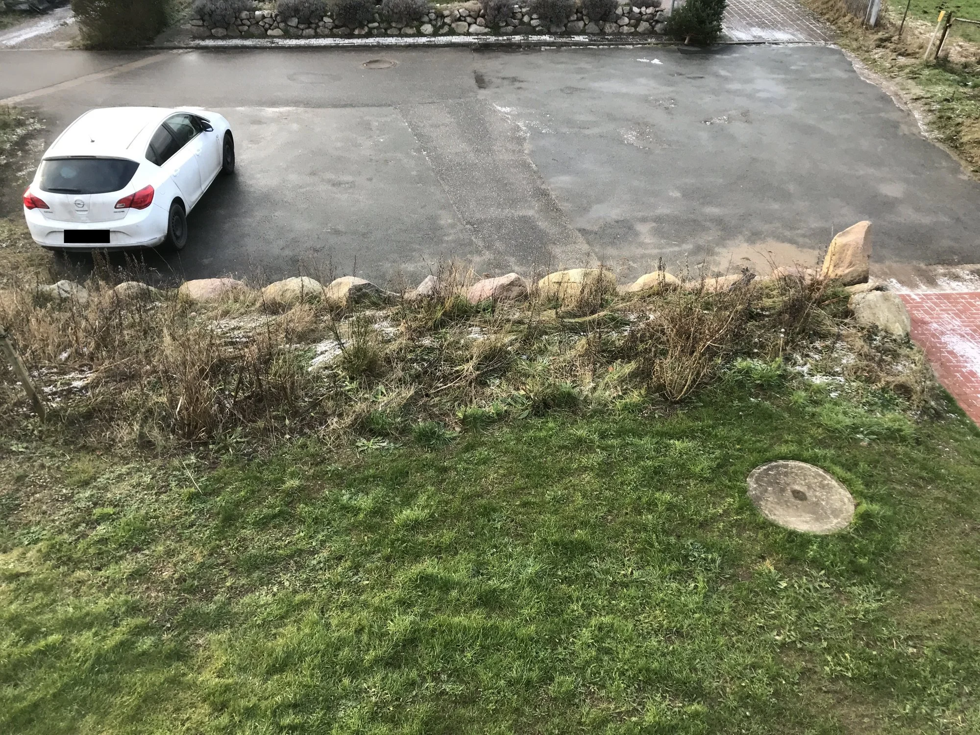 Hecke (3).jpg