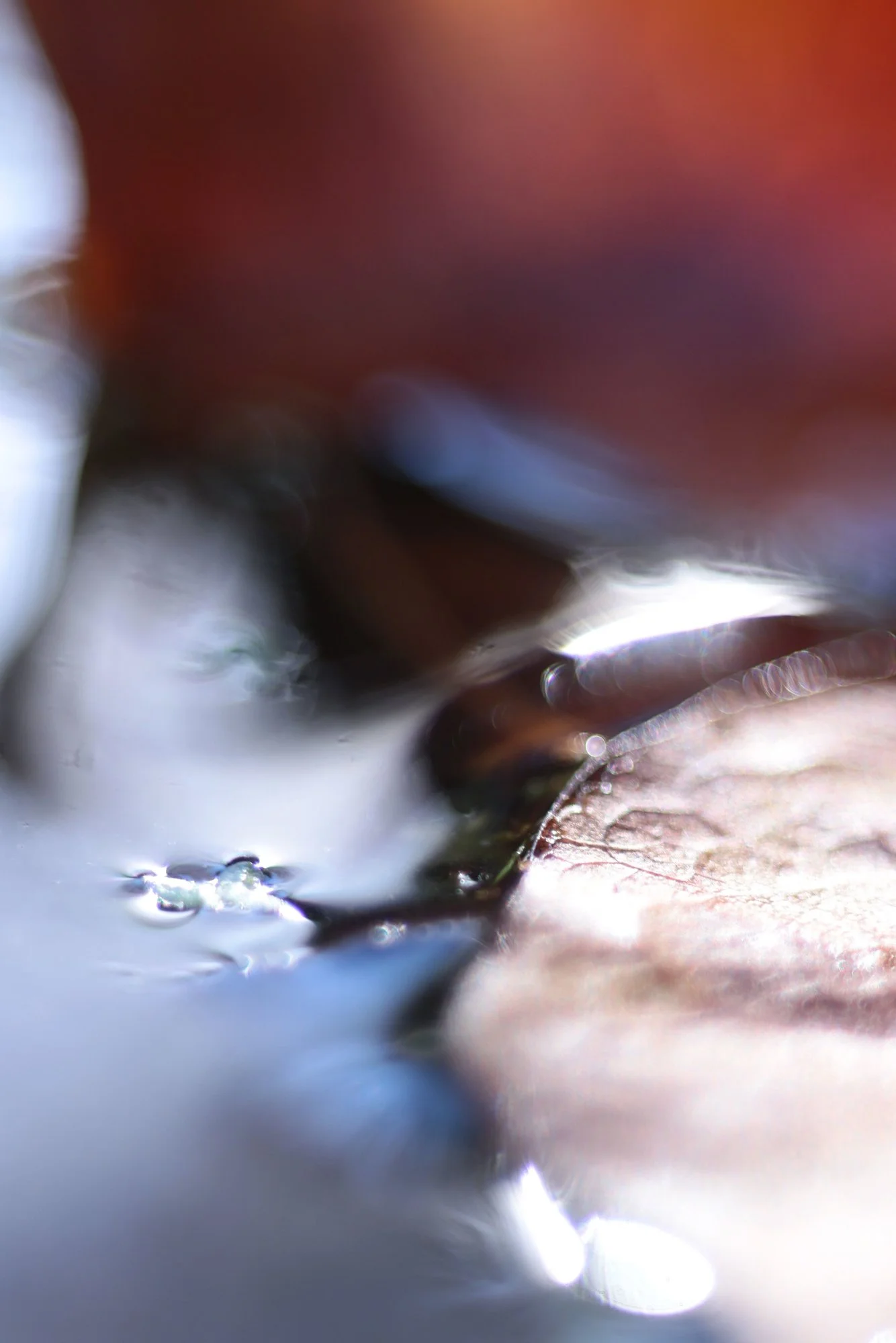 Herbst08.webp