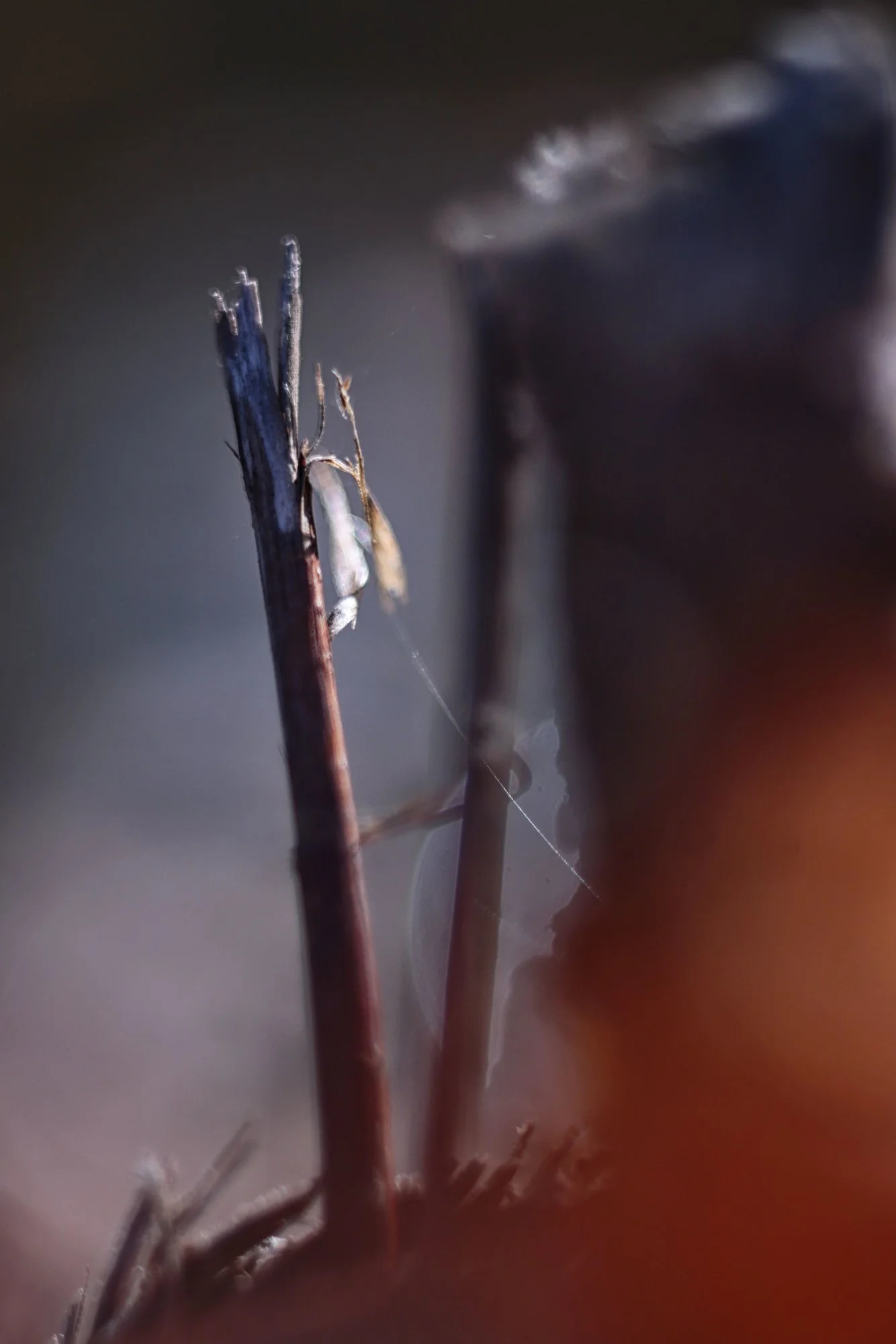 Herbst11.webp