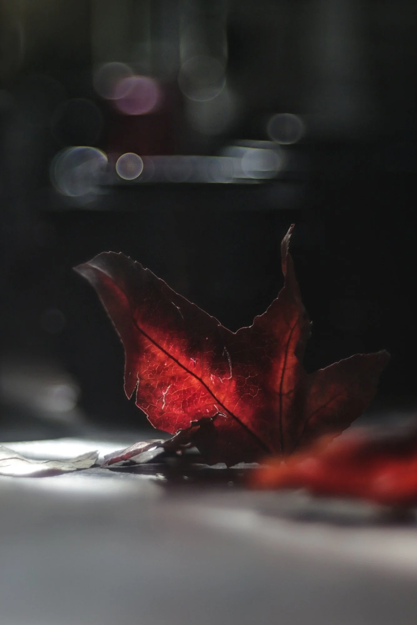Herbst63.webp