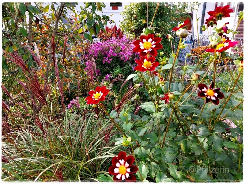 Herbstzauber 15.webp