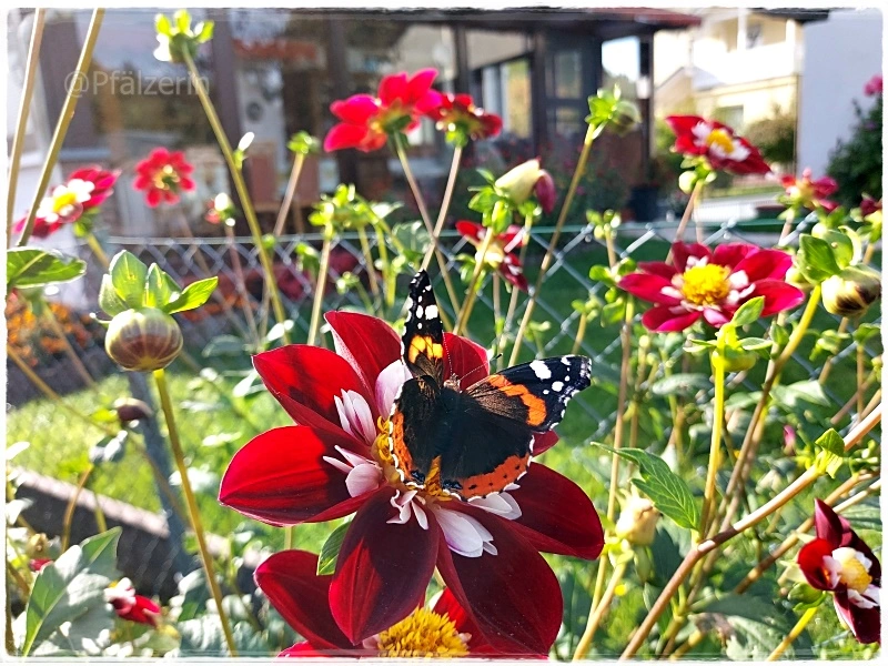 Herbstzauber 17.webp