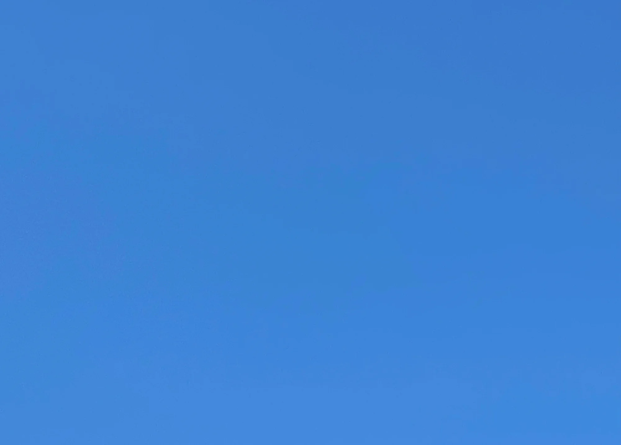 Heute.webp