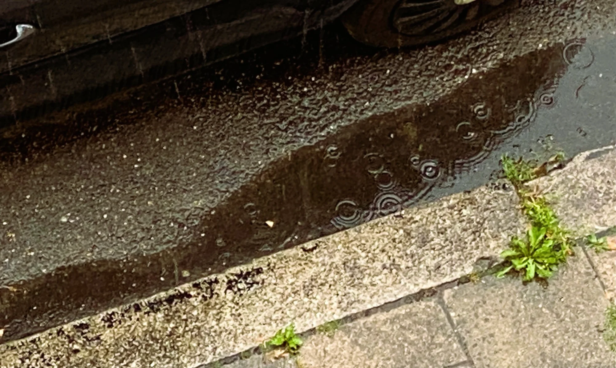 Heute.webp