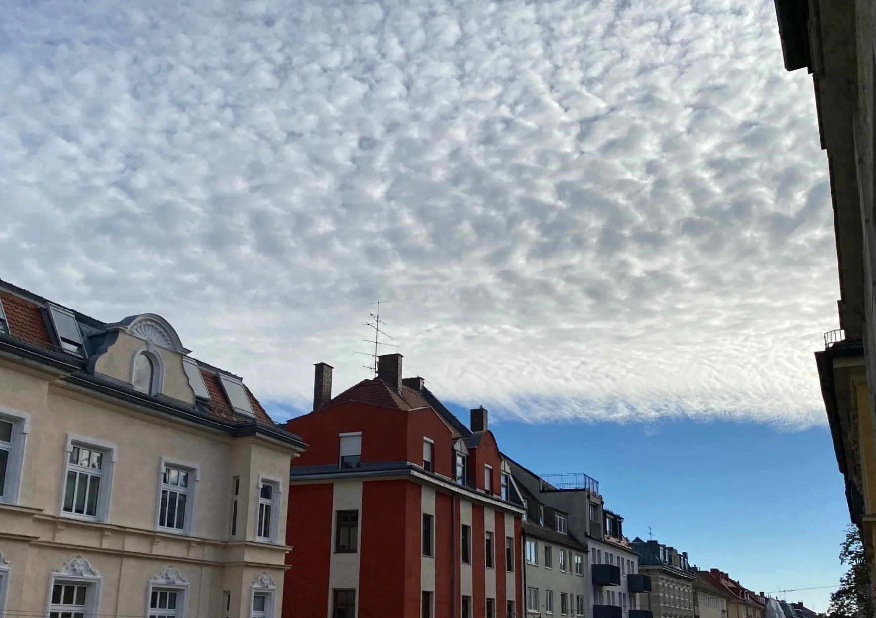 Heute.webp