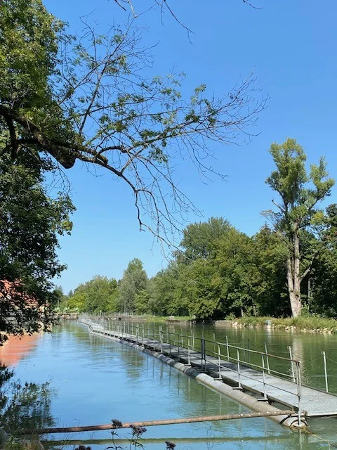 Hinterbrühler See 3.webp