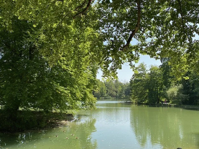 Hinterbrühler See 6.webp