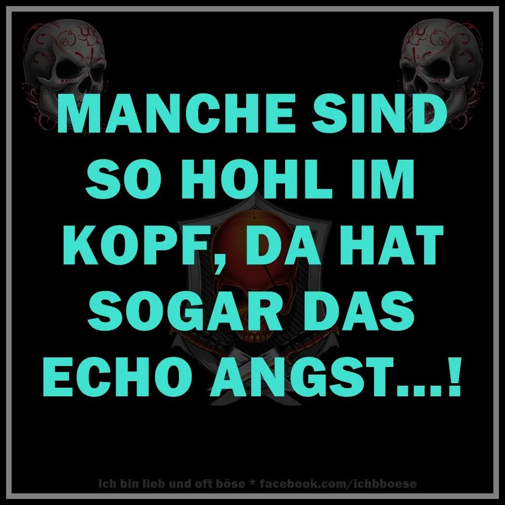 Hohl im Kopf.webp