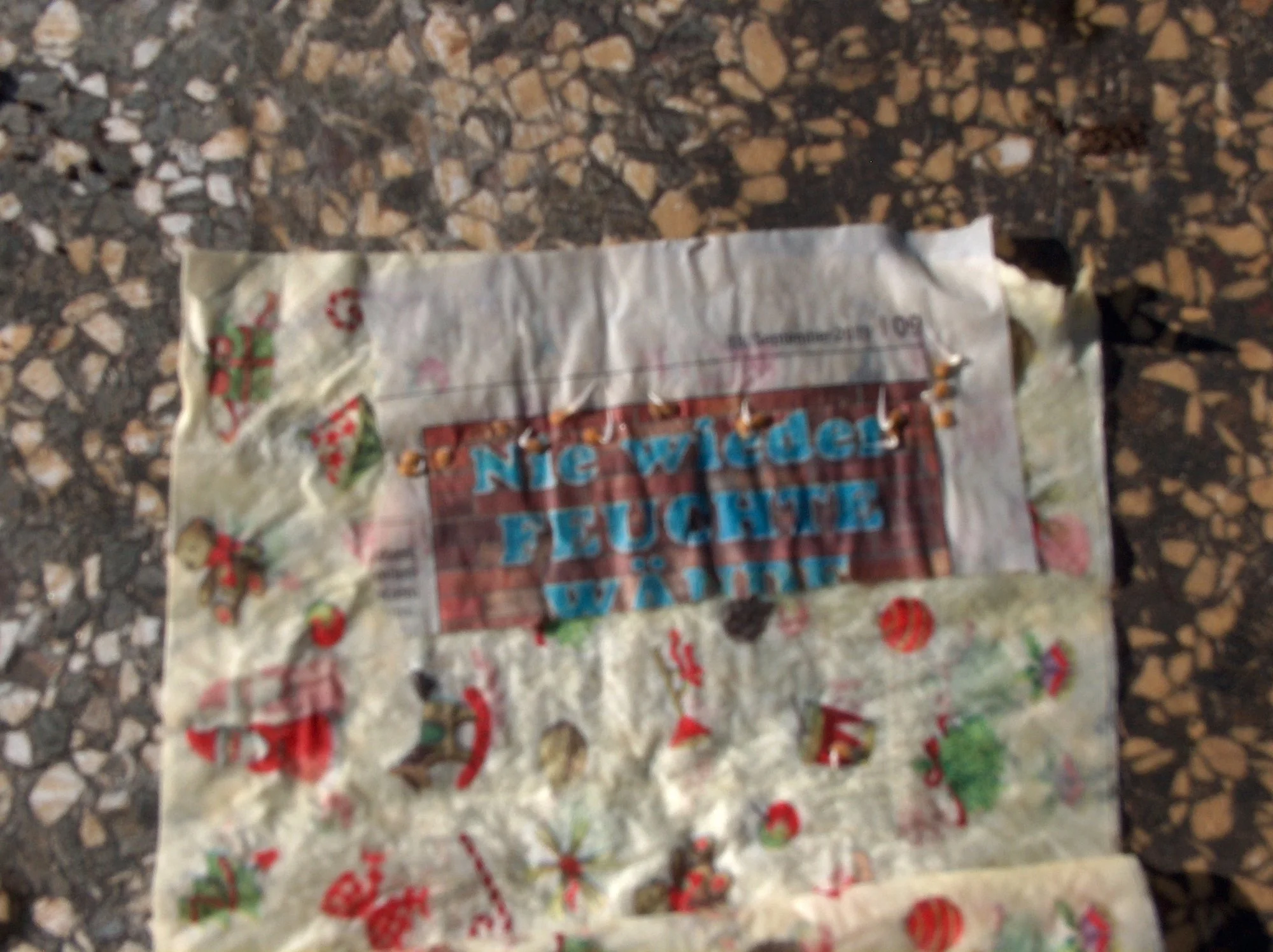 HPIM4253[1].webp
