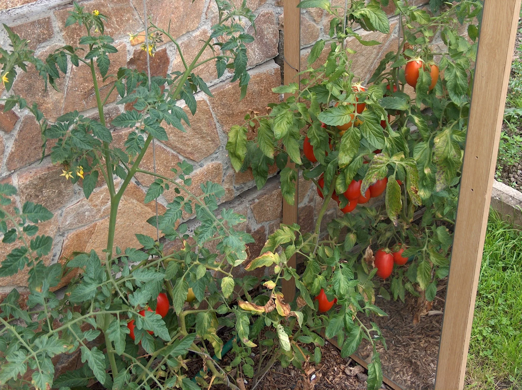 HPIM4408[1].webp