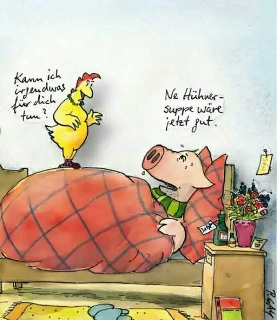 Hühnersuppe.webp