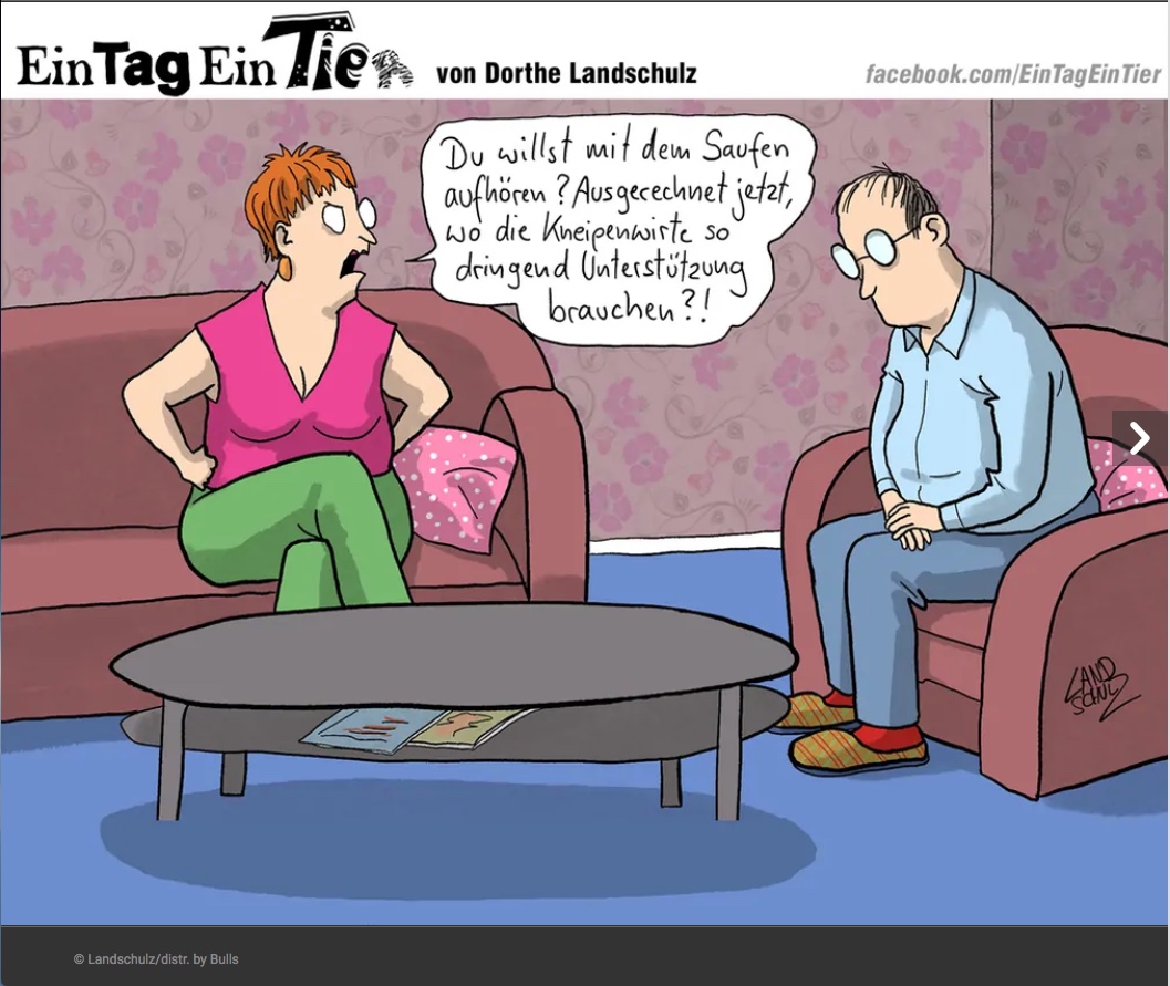 Humor_Saufen aufhören.jpeg