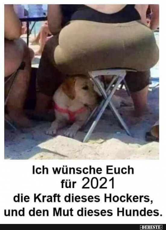 Hund.webp